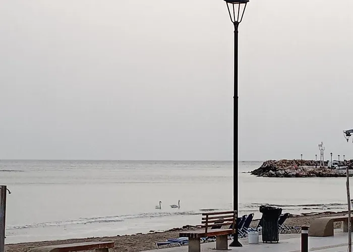 Sea U